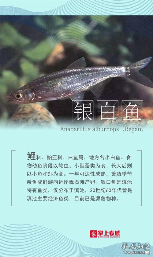下载中心 第304页