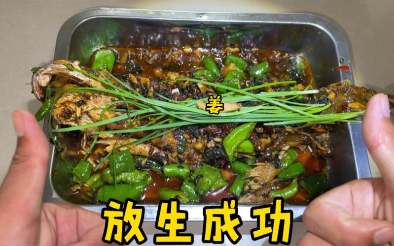 新澳门开奖结果记录历史和放生2.5万斤外来鲇鱼与放生鲇鱼的功德