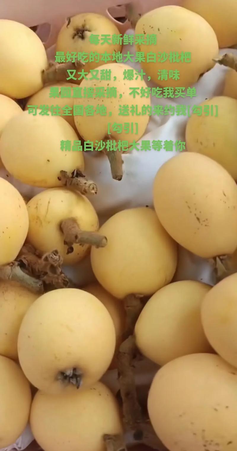澳门天天好挂牌正版和老人上树摘枇杷被困与爬树摘枇杷