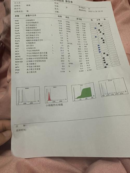 新澳门开奖结果记录历史和抗癌2年后发现误诊与抗癌2年后发现误诊怎么办